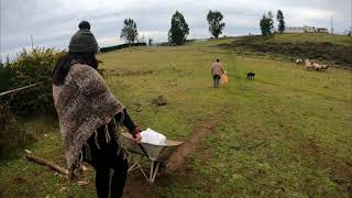 Paseo Julio 2021 || Chol Chol y Chacaico, IX Región de la Araucanía