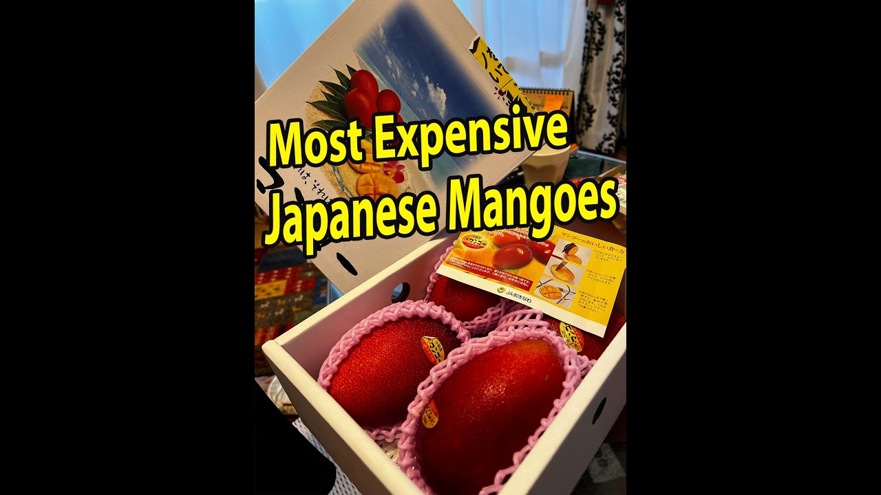 Red mangoes in Japan Expensive Mangoes in Japan Arslan Zafar YouTube