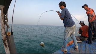 Rejeki Pemancing, Bisa Naikkan Ikan Sperti ini