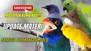 MASTERAN UPDATE 2025! TEMBAKAN KASARAN - BISA JUARA KALAU MATERI INI MASUK KE MURAI dan CUCAK IJO