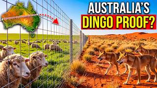 They Laughed At Australia For Building 1000s Km of Fences A Decade Later Shocking Truth Revealed!