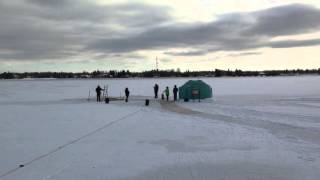 Nancy Daley-Fulton Polar Plunge - January 1st 2016