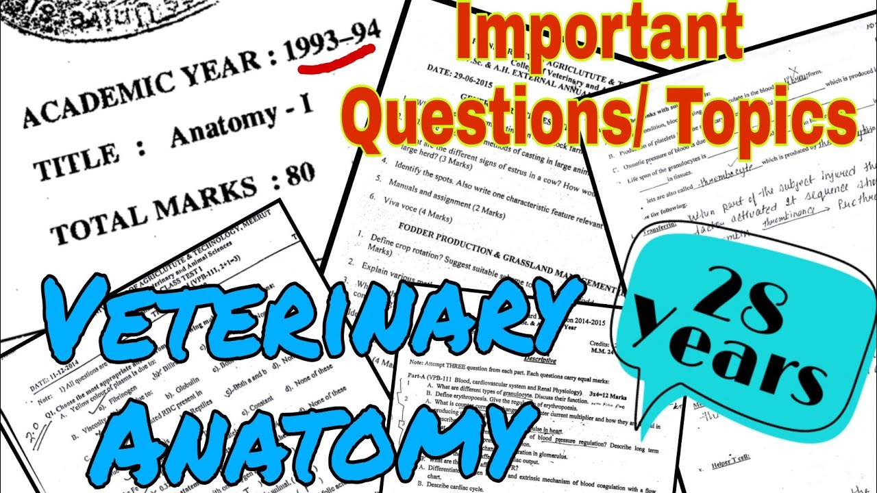 Important Questions 😱 Veterinary Anatomy Previous year papers