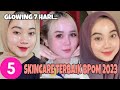 5 top skincare terbaik 2023 bpom  temulawak the face skintific  animateaman bikin glowing 