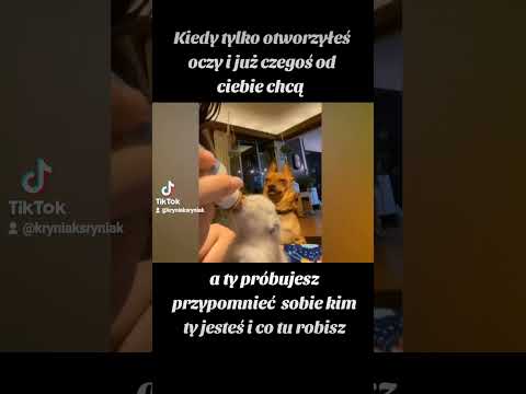 11 sierpnia 2024