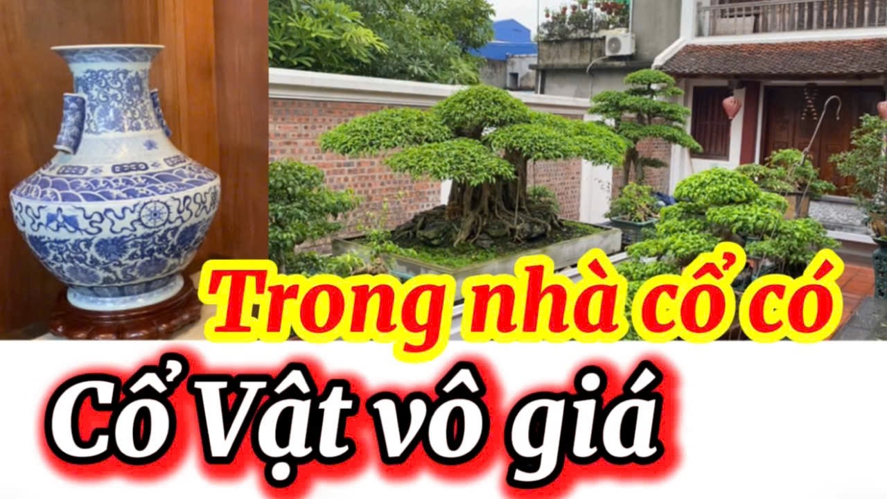 Trong nhà cổ có cổ vật vô giá.