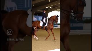 Famous Love them 🧡❤️. Do you know who it is! Video Credit to @Anna buffini Profile