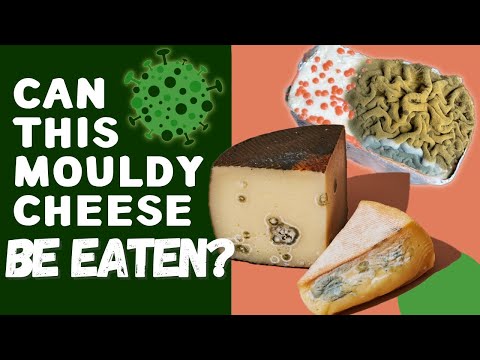 Video: Cum să alegi formele pentru brânză?
