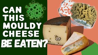Can You Eat Mouldy Cheese? (How To Tell Good Cheese Mould From Bad Mould)