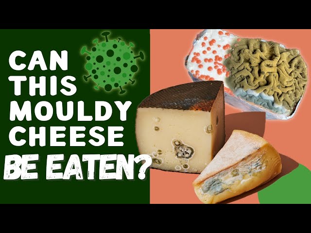 Can You Eat Moldy Cheese?