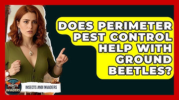 Does Perimeter Pest Control Help With Ground Beetles? - Insects and Invaders