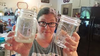 How to clean old dirty mason jars easy method 100% clean