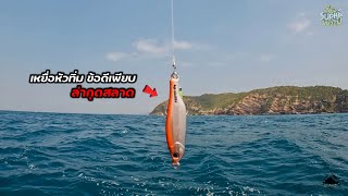 หมายเด็ดแสมสารด้วยเหยื่อกลับหัว (Light Jigging) และโฮมสเตย์ไต๋โน๊ต | เดี๋ยวSuphaพาไป