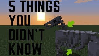 5 THING YOU DIDN'T KNOW ABOUT SKELETON HORSES