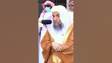 سورة النصر تلاوة جميلة جداً من صلاة الجمعة للشيخ فيصل غزاوي✨❤