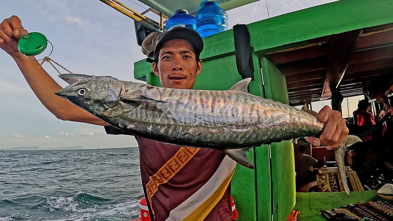 Câu Cá Thu Nấu Canh Chua Mực Nướng Mắm Me “ Câu Biển Ký Sự “. Tập 1