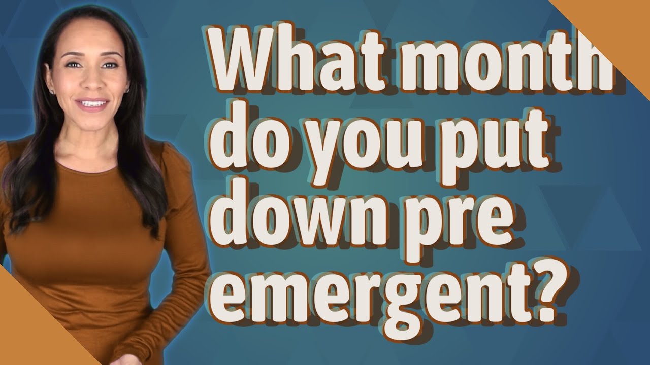 what-month-do-you-put-down-pre-emergent-youtube