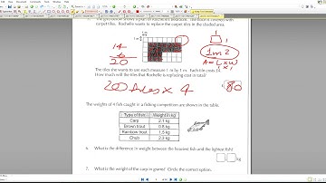 Maths 11+ CEM Test25  10min test