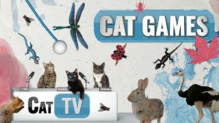 เกมส์แมว | Ultimate Cat TV Compilation เล่ม 9 | 1 ชั่วโมง 🐱📺🐁🦎⚽🐟🐦🍎🐞