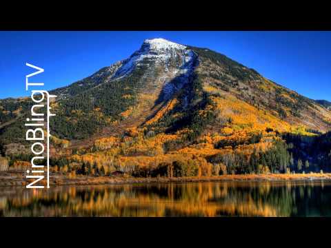 DJ Dotorado African Scream Original Mix