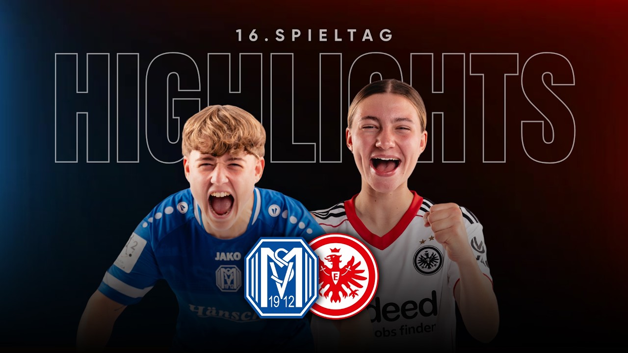 Traumtor sichert drei Punkte in Meppen I SV Meppen –Eintracht Frankfurt II I 2. FBL