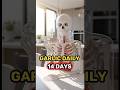 1 Garlic Clove a Day – The Shocking Results