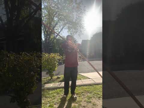 Bo Staff Spinning in the Sun's Embrace