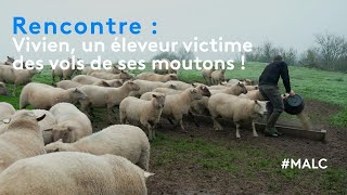 Rencontre : Vivien, un éleveur victime des vols de ses moutons !