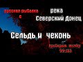 Русская рыбалка 4(рр4) - река Северский донец. Сельдь черноморская и чехонь.