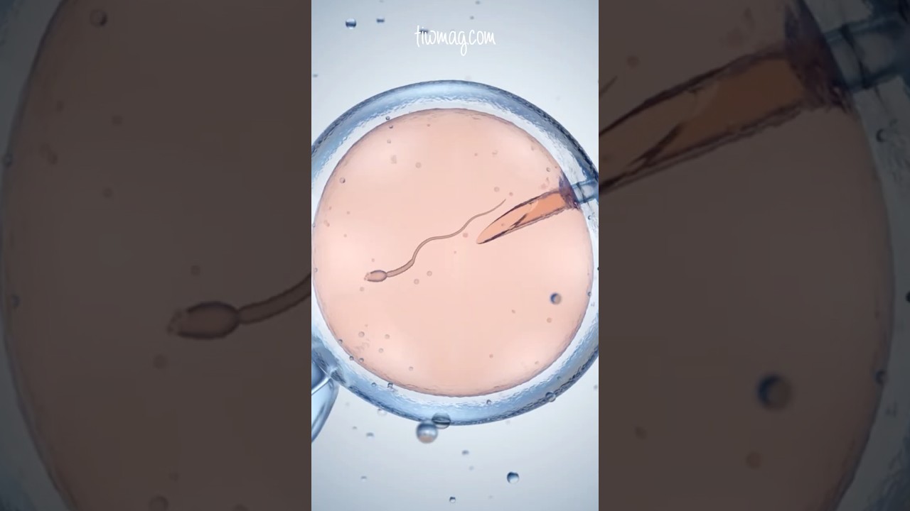 Understanding Reproductive Justice