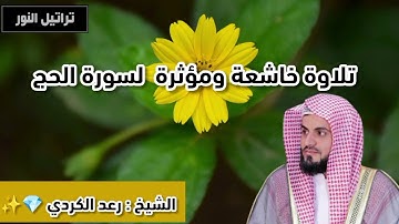 تلاوة خاشعة ومؤثرة 💎✨ لسورة الحج بصوت الشيخ: رعد الكردي 💎✨ اللهم اجعل القرآن العظيم ربيع قلوبنا 🫀✨