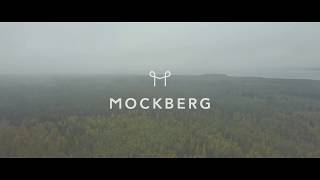 モックバーグ 時計 新品 未使用 深田恭子ドラマ着用 モックバーグ(MOCKBERG)腕時計の口コミ評判！深田恭子が着用した話題の