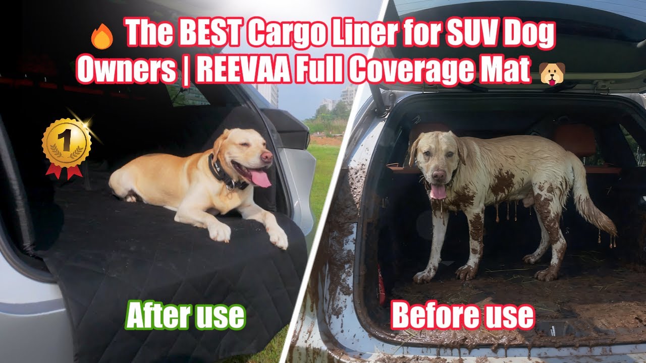 🔥 The BEST Cargo Liner for SUV Dog Owners | REEVAA Full Coverage Mat 🐶