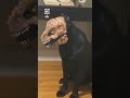 When he turned his head 😭