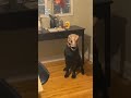 When he turned his head 😭