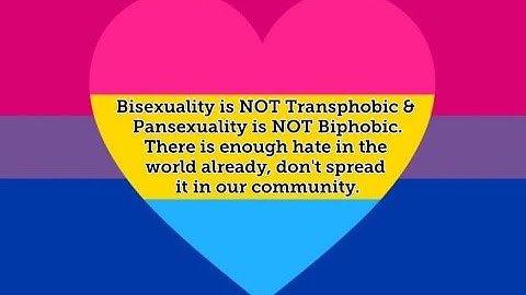 Visual Methodologies Final Video Essay