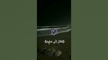 فَمَا ظَنُّكُم بِرَبِّ الْعَالَمِينَ| تلاوة هادئة 🤎😴 #قران_كريم