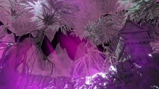 Parallel Universe | Relaxing Ambience screenshot 1