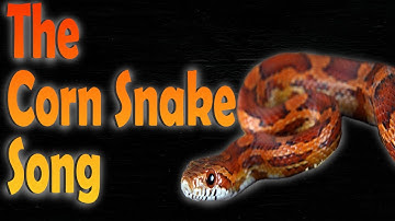 The Corn Snake Song || Reptile Raps