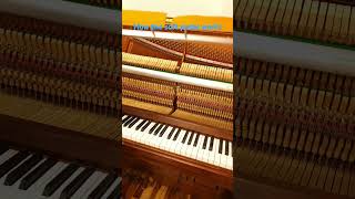 #Lake piano#01067368004#Soft pedal principle#small sound#Uijeongbu screenshot 4
