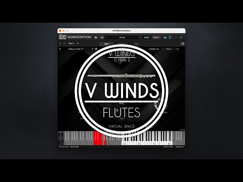 VWinds Flutes Overview