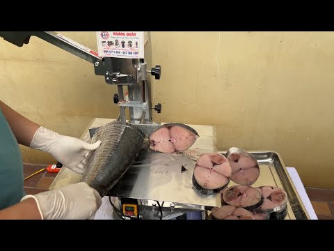 Video MÁY CƯA CÁ ĐÔNG LẠNH, CƯA XƯƠNG BÒ, LỢN, TRÂU, CƯA... - youtube