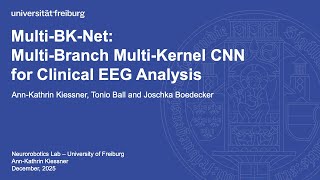 Multi-BK-Net: Multi-Branch Multi-Kernel Convolutional Neural Networks for Clinical EEG Analysis