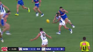 Caleb Daniel - North Melbourne Debut Highlights - Afl Round 1 2025 - Kangaroos Bulldogs