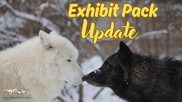 Exhibit Pack Update - 5 December 2025