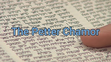 Petter Chamor / Redemption of The Firstborn