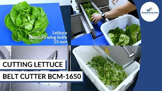 Lettuce Cutting Machine | Vegetable Processing Machinery