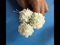 Gumpaste( flower paste) carnations