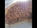 Easy Pecan Pie Recipe  -How to make southern pecan pie