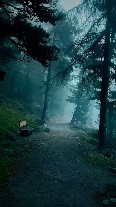 Subscribe to this channel for more nature's videos. #nature #beautiful #youtube